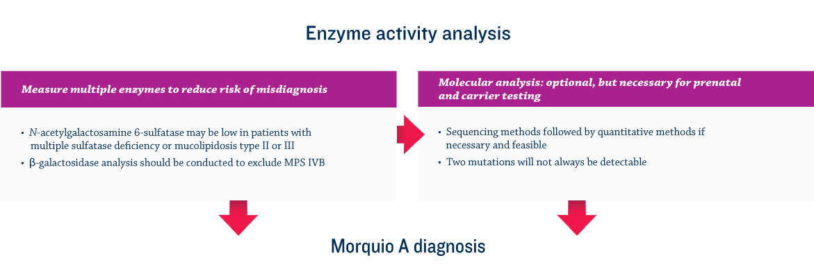 Diagnostic-algorithm